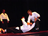 Sensei Eric Wagner, TSIR Missouri