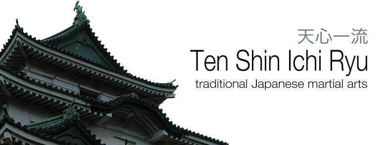 ten shin ichi ryu japanese martial arts